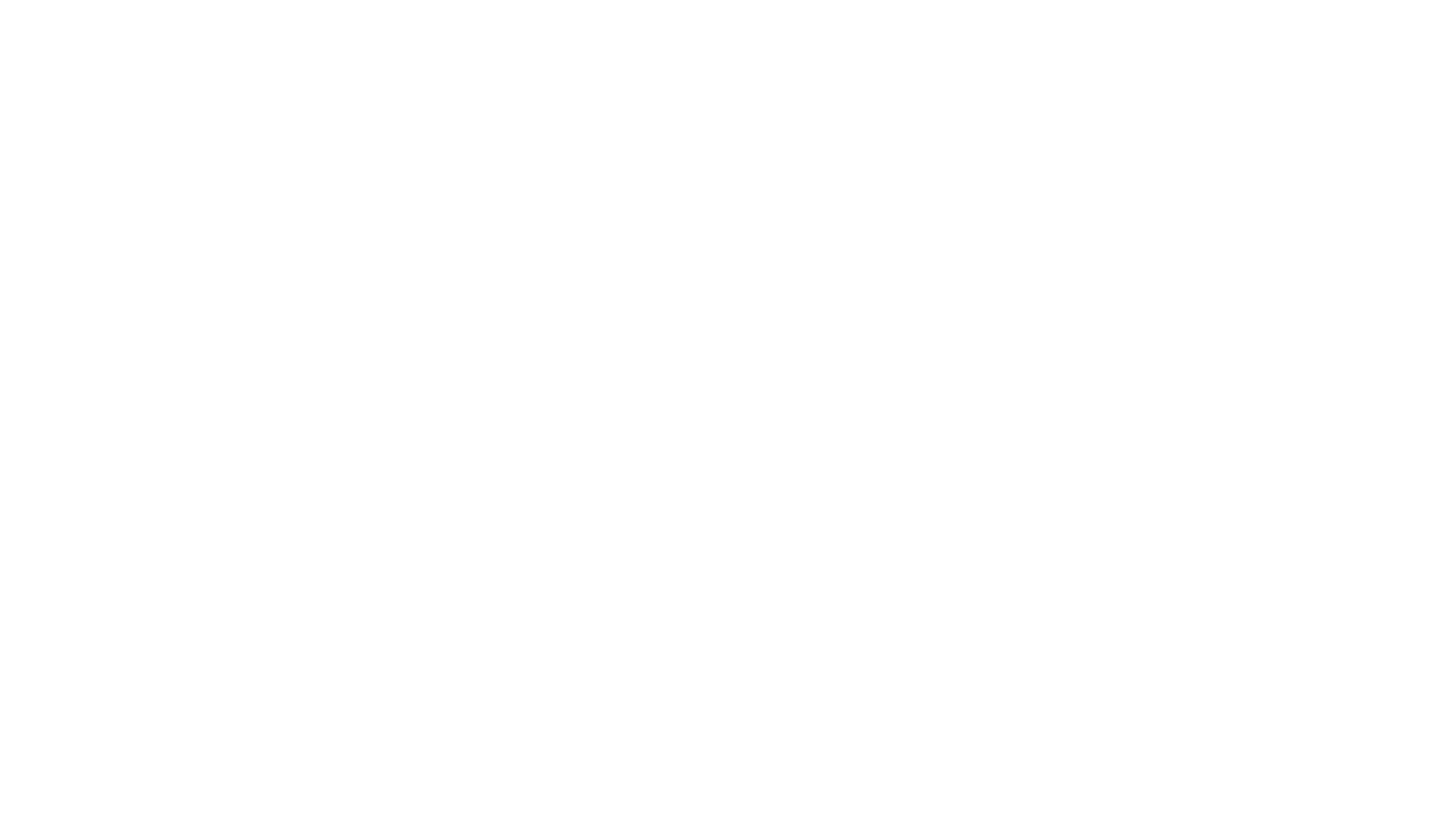 sigrid staudinger logo